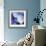 Blue Hydrangea 1-Stacy Bass-Framed Giclee Print displayed on a wall