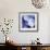 Blue Hydrangea 1-Stacy Bass-Framed Giclee Print displayed on a wall