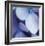 Blue Hydrangea 1-Stacy Bass-Framed Giclee Print