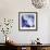 Blue Hydrangea 1-Stacy Bass-Framed Giclee Print displayed on a wall