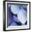 Blue Hydrangea 1-Stacy Bass-Framed Giclee Print