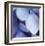 Blue Hydrangea 1-Stacy Bass-Framed Giclee Print