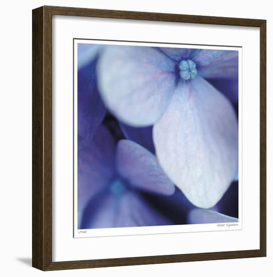 Blue Hydrangea 1-Stacy Bass-Framed Giclee Print