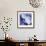 Blue Hydrangea 1-Stacy Bass-Framed Giclee Print displayed on a wall