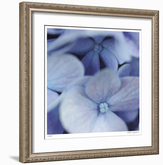 Blue Hydrangea 2-Stacy Bass-Framed Giclee Print