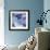 Blue Hydrangea 2-Stacy Bass-Framed Giclee Print displayed on a wall