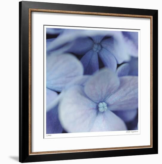 Blue Hydrangea 2-Stacy Bass-Framed Giclee Print