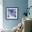 Blue Hydrangea 2-Stacy Bass-Framed Giclee Print displayed on a wall