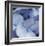 Blue Hydrangea 2-Stacy Bass-Framed Giclee Print