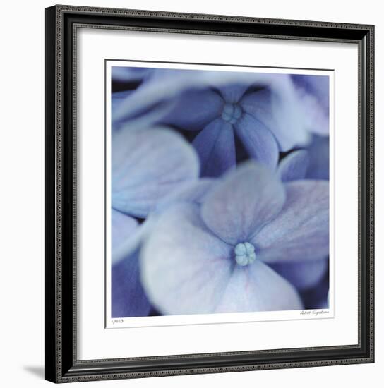 Blue Hydrangea 2-Stacy Bass-Framed Giclee Print