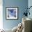 Blue Hydrangea 2-Stacy Bass-Framed Giclee Print displayed on a wall