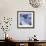 Blue Hydrangea 2-Stacy Bass-Framed Giclee Print displayed on a wall