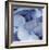 Blue Hydrangea 2-Stacy Bass-Framed Giclee Print