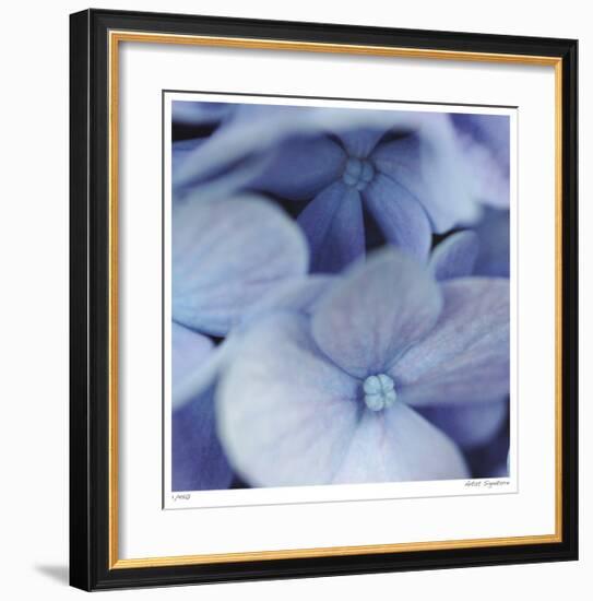 Blue Hydrangea 2-Stacy Bass-Framed Giclee Print