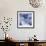 Blue Hydrangea 2-Stacy Bass-Framed Giclee Print displayed on a wall