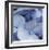 Blue Hydrangea 2-Stacy Bass-Framed Giclee Print