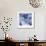 Blue Hydrangea 2-Stacy Bass-Framed Giclee Print displayed on a wall