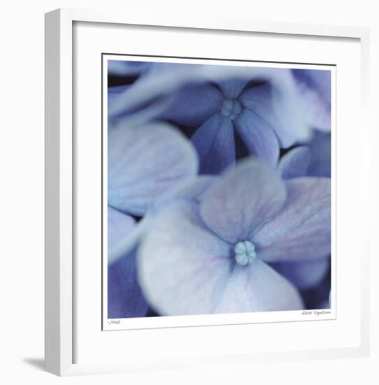 Blue Hydrangea 2-Stacy Bass-Framed Giclee Print