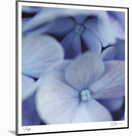 Blue Hydrangea 2-Stacy Bass-Mounted Limited Edition