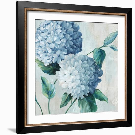 Blue Hydrangea Blooms II-Alex Black-Framed Art Print