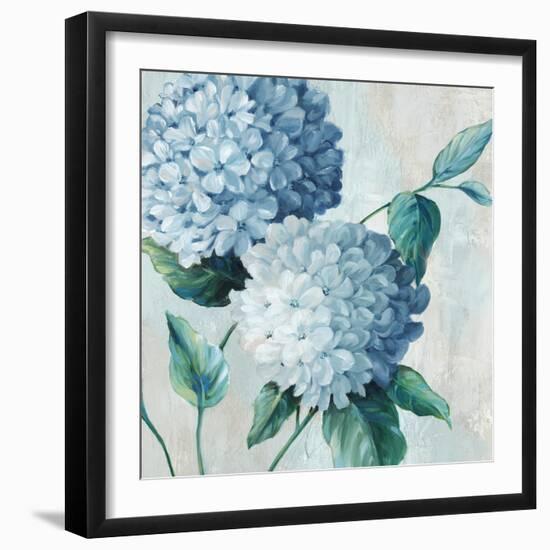 Blue Hydrangea Blooms II-Alex Black-Framed Art Print