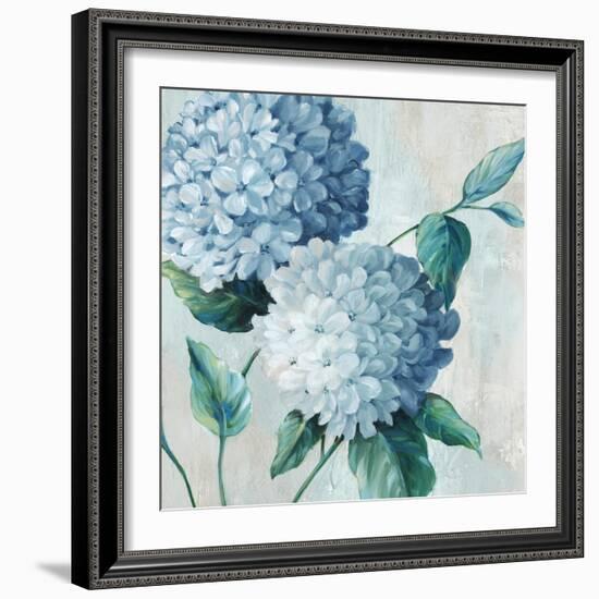 Blue Hydrangea Blooms II-Alex Black-Framed Art Print