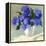 Blue Hydrangea Bouquet-Dale Payson-Framed Premier Image Canvas