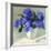 Blue Hydrangea Bouquet-Dale Payson-Framed Giclee Print