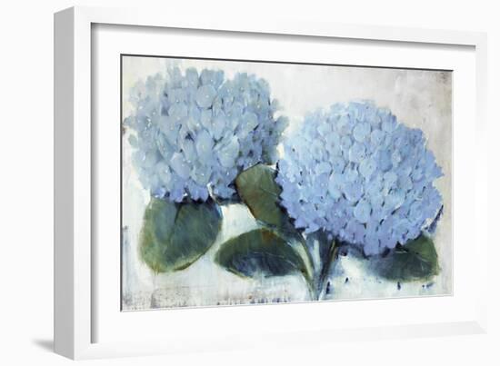 Blue Hydrangea II-Tim O'toole-Framed Giclee Print