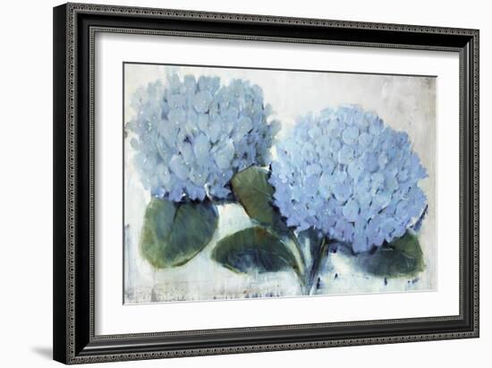 Blue Hydrangea II-Tim O'toole-Framed Giclee Print