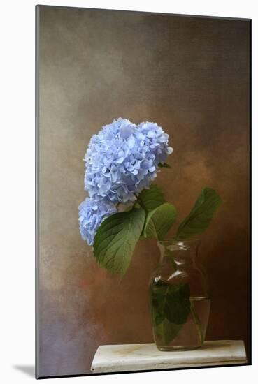 Blue Hydrangea in a Vase-Jai Johnson-Mounted Giclee Print