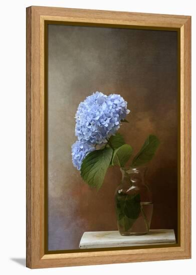 Blue Hydrangea in a Vase-Jai Johnson-Framed Premier Image Canvas