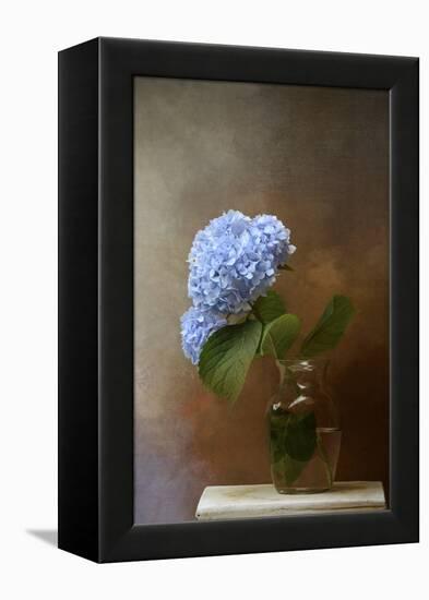 Blue Hydrangea in a Vase-Jai Johnson-Framed Premier Image Canvas