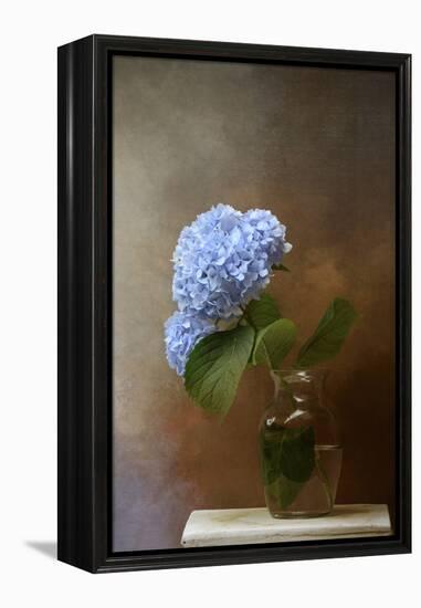 Blue Hydrangea in a Vase-Jai Johnson-Framed Premier Image Canvas