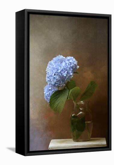 Blue Hydrangea in a Vase-Jai Johnson-Framed Premier Image Canvas