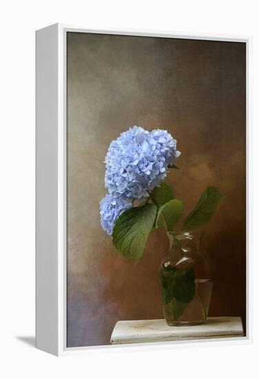 Blue Hydrangea in a Vase-Jai Johnson-Framed Premier Image Canvas