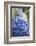 Blue Hydrangea in the Garden-pdb1-Framed Photographic Print