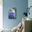 Blue Hydrangea in the Garden-pdb1-Mounted Photographic Print displayed on a wall