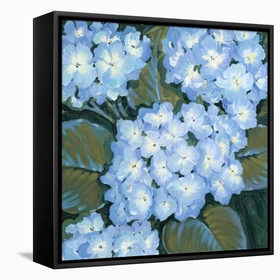 Blue Hydrangeas I-Tim OToole-Framed Stretched Canvas