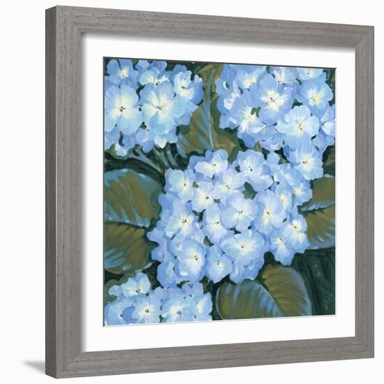 Blue Hydrangeas I-Tim OToole-Framed Art Print