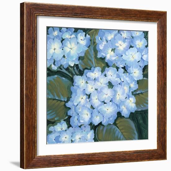 Blue Hydrangeas I-Tim OToole-Framed Art Print