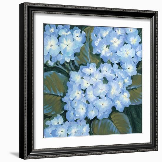 Blue Hydrangeas I-Tim OToole-Framed Art Print