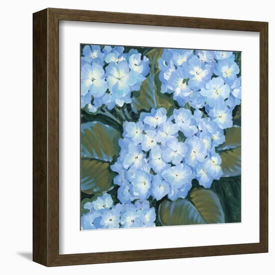 Blue Hydrangeas I-Tim OToole-Framed Art Print