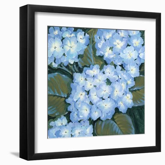 Blue Hydrangeas I-Tim OToole-Framed Art Print