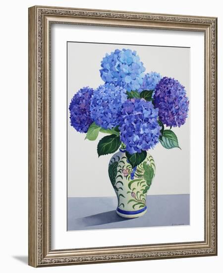 Blue Hydrangeas-Christopher Ryland-Framed Giclee Print