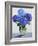 Blue Hydrangeas-Christopher Ryland-Framed Giclee Print