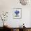 Blue Hydrangeas-Christopher Ryland-Framed Giclee Print displayed on a wall