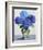 Blue Hydrangeas-Christopher Ryland-Framed Giclee Print