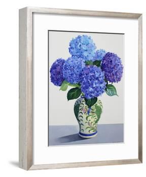 Blue Hydrangeas-Christopher Ryland-Framed Giclee Print
