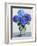 Blue Hydrangeas-Christopher Ryland-Framed Giclee Print